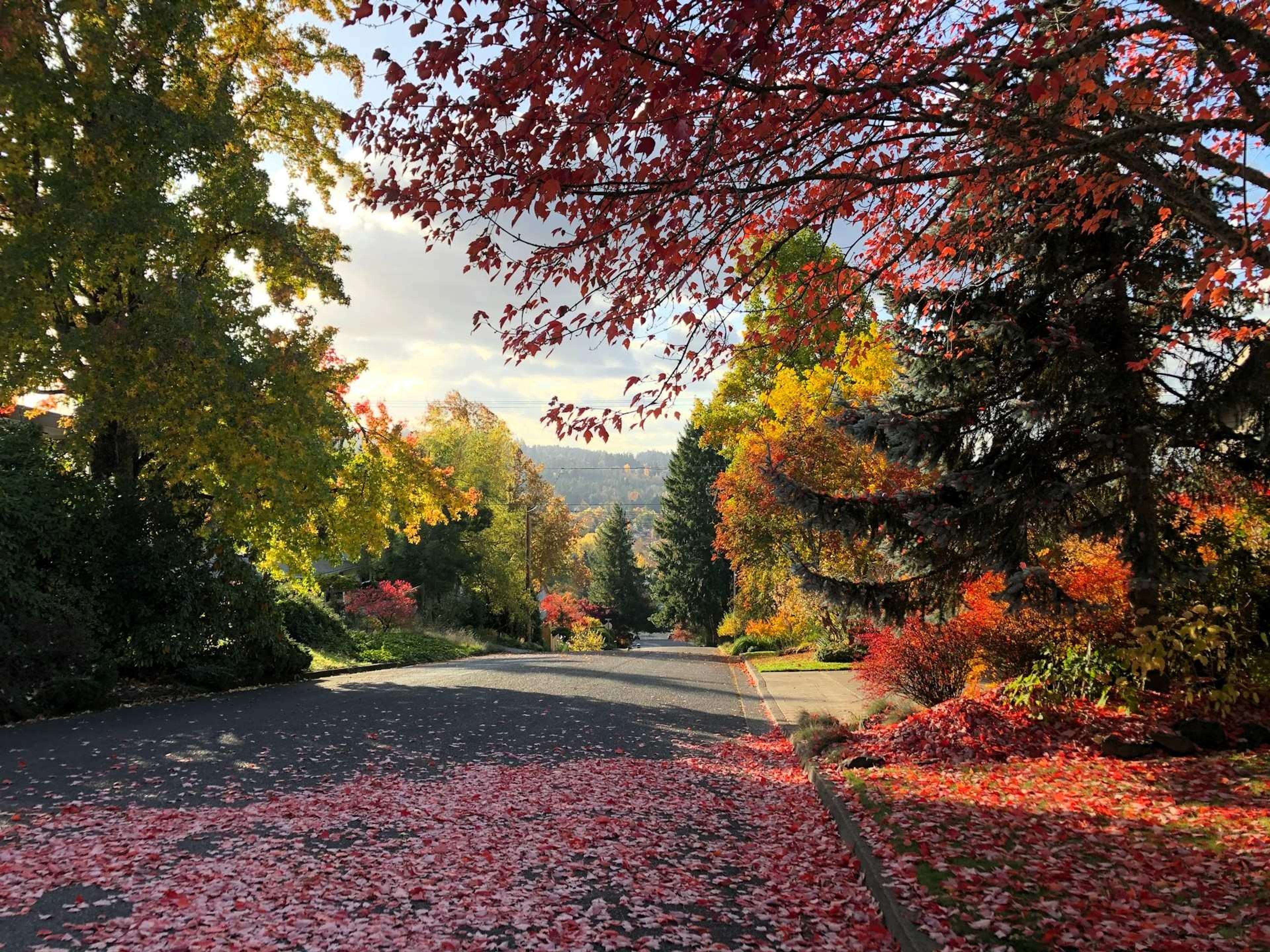 Autumn in the Pacific Northwest, Eugene/Springfield, Oregon, USA