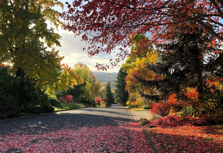 Autumn in the Pacific Northwest, Eugene/Springfield, Oregon, USA