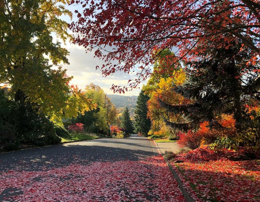 Autumn in the Pacific Northwest, Eugene/Springfield, Oregon, USA