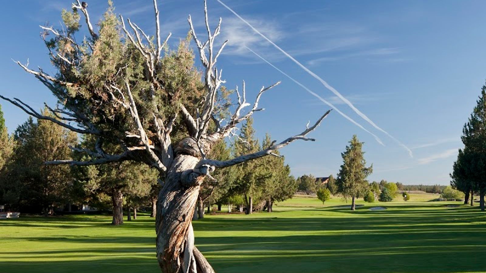 Photo of Eagle Crest Resort