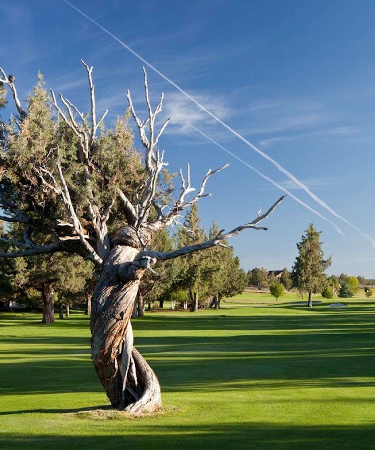 Photo of Eagle Crest Resort