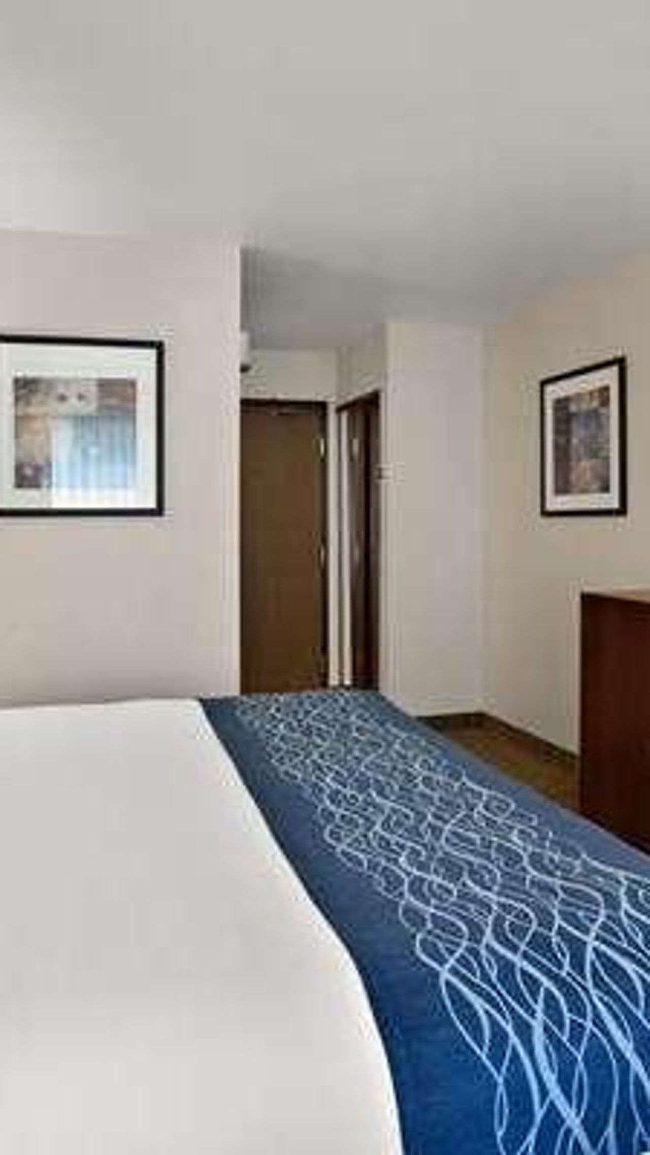 Photo of Comfort Inn Lacey - Olympia