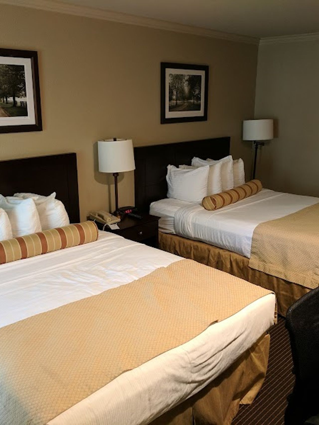 Photo of University Park Inn and Suites