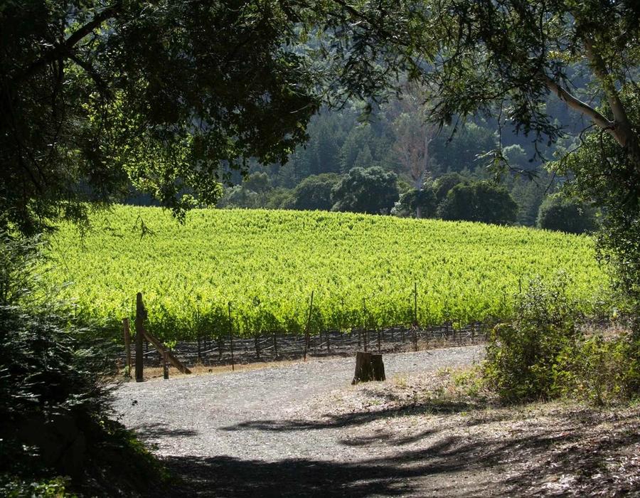 Jack London Park near Santa Rosa, California