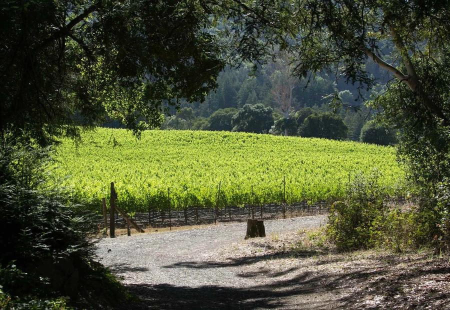 Jack London Park near Santa Rosa, California