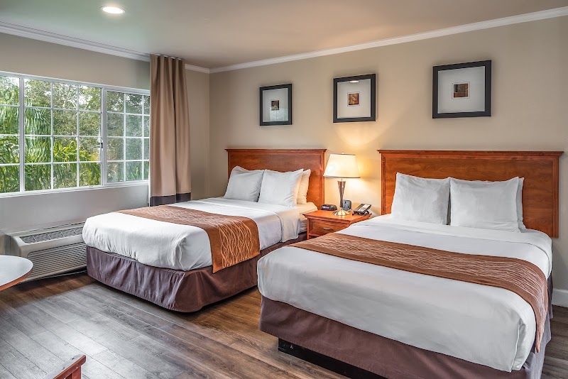 Photo of The Inn at 1252 Monterey - Two Queen Bed Room