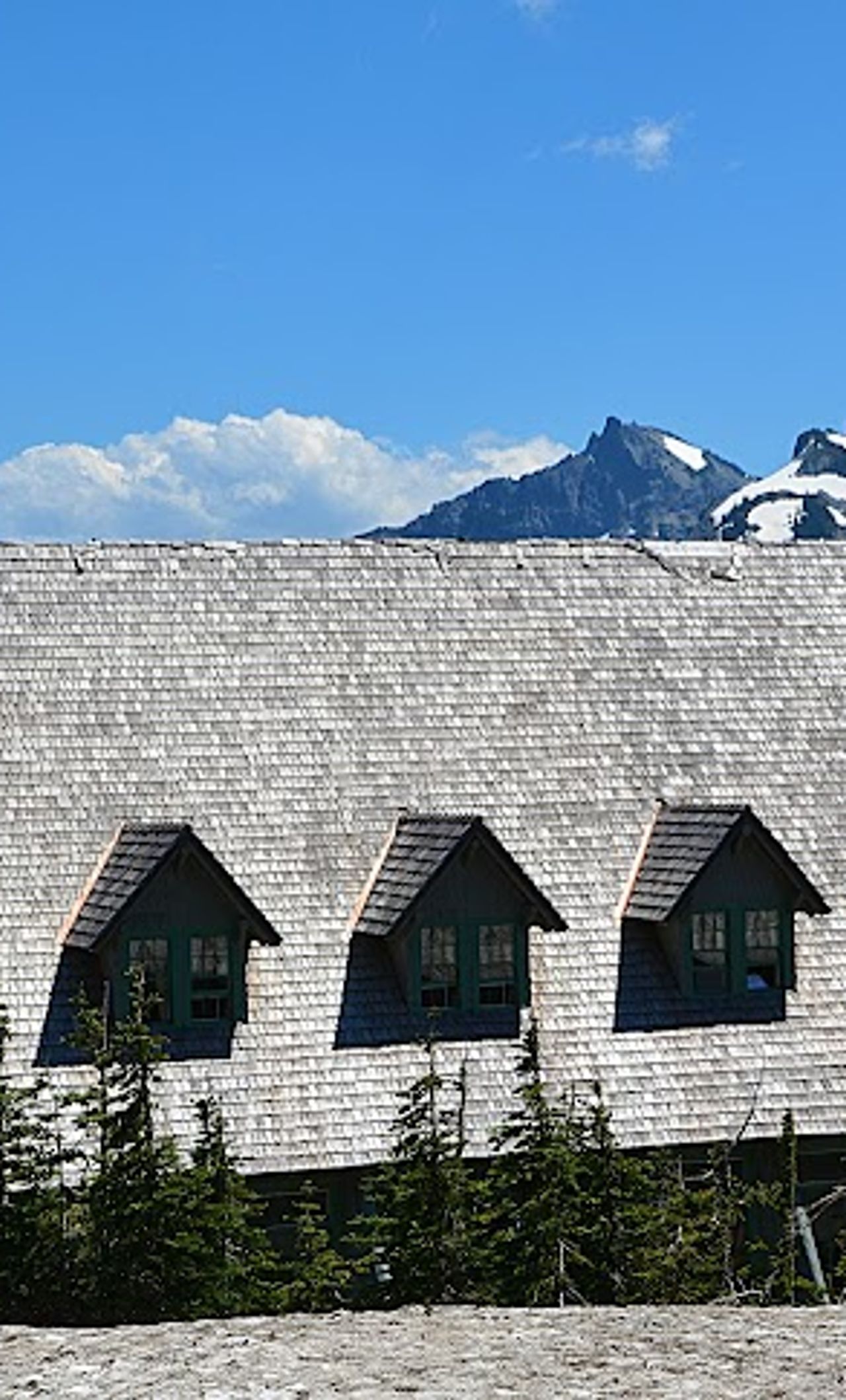 Photo of Paradise Inn