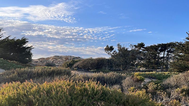 Photo of Marina Dunes RV Park