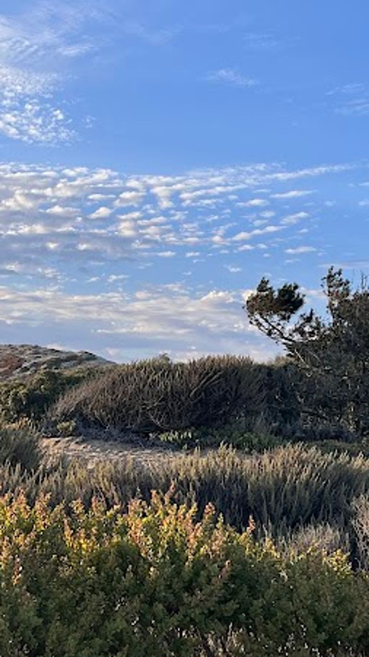 Photo of Marina Dunes RV Park
