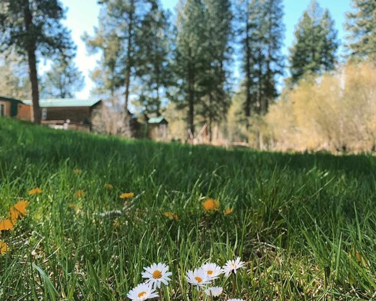 Photo of Crater Lake Resort