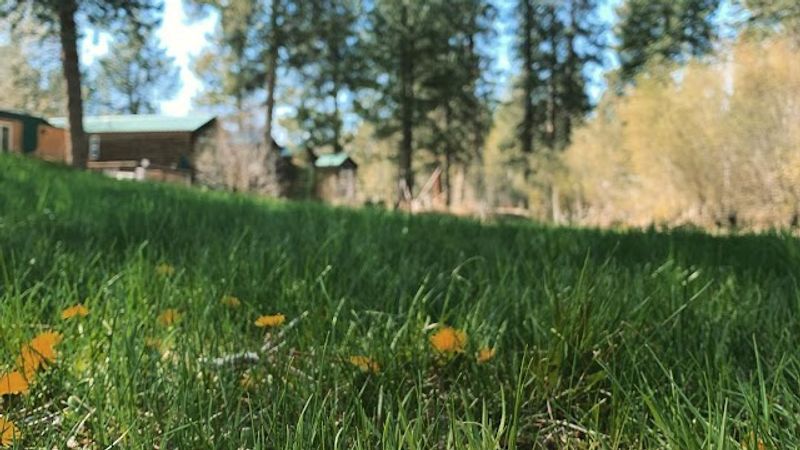 Photo of Crater Lake Resort