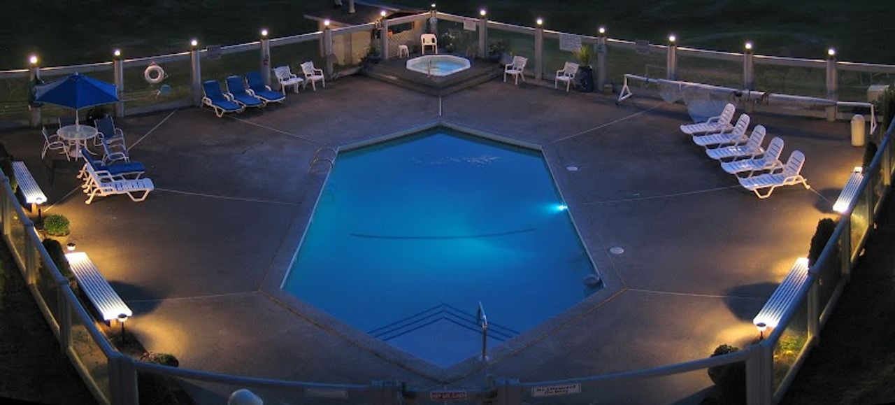 Photo of The Grey Gull