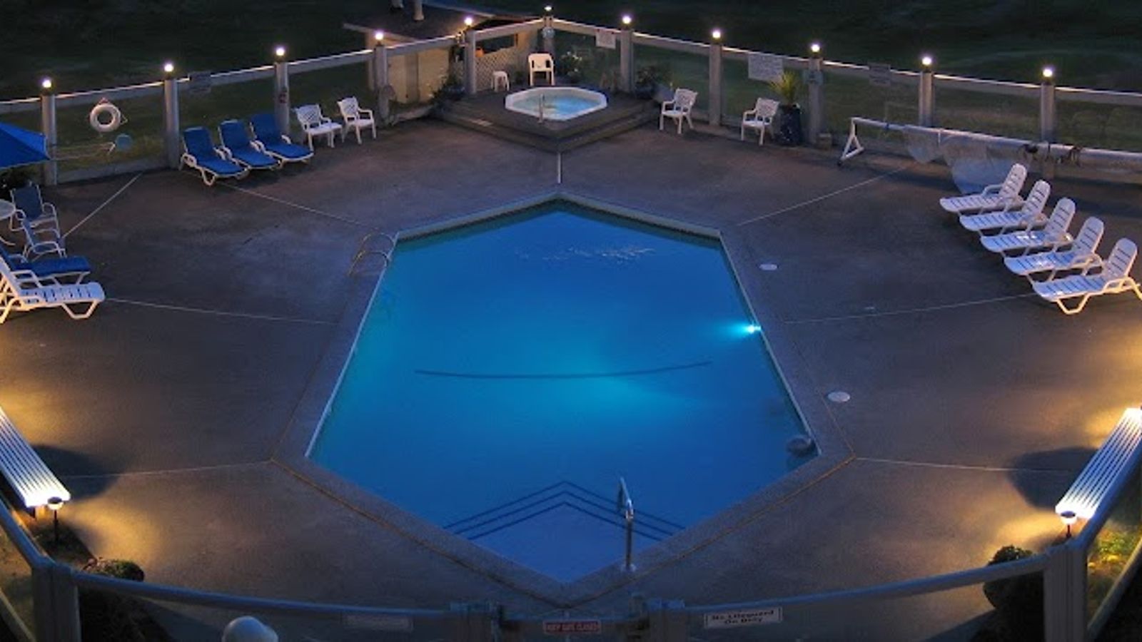 Photo of The Grey Gull