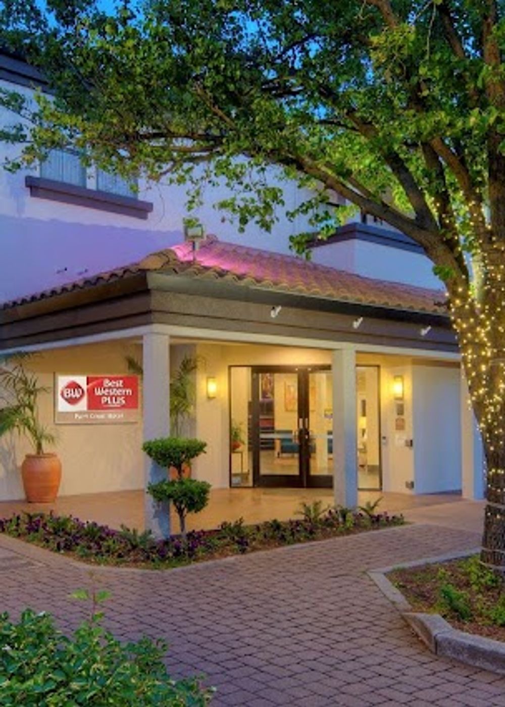 Best Western Plus Palm Court Hotel