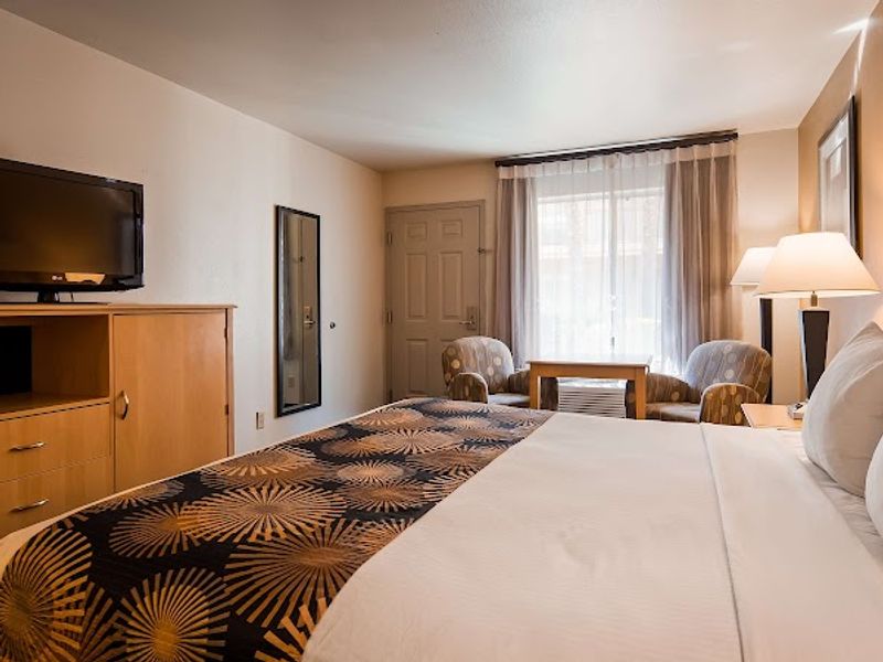 Photo of Best Western Palm Court Inn - Room, King Bed