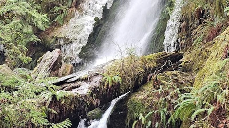 Photo of Lake Quinault Lodge