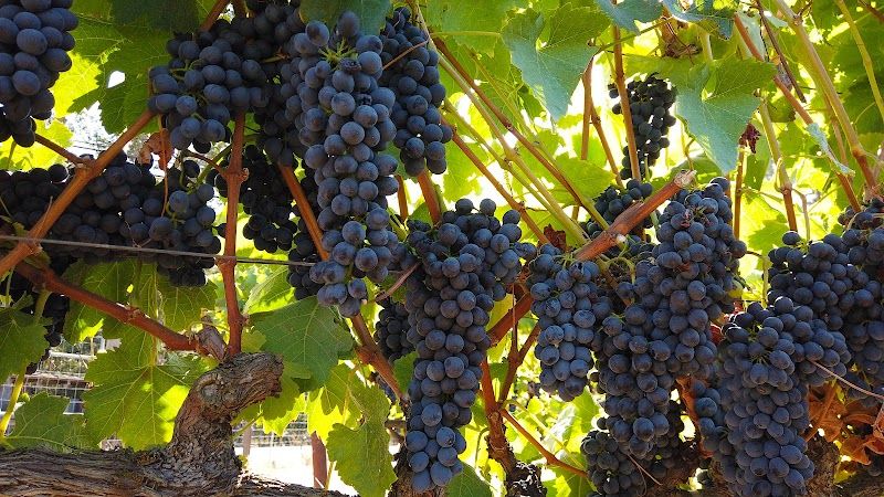 Photo of Cinnamon Bear Creekside Inn