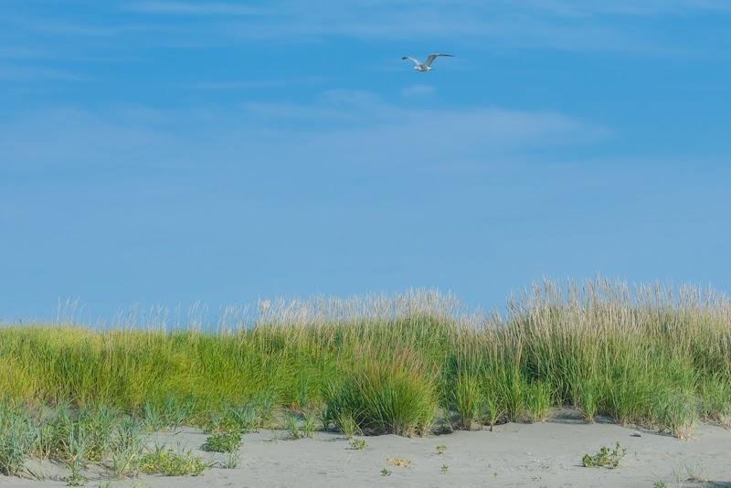 Photo of Shorebirds Villas