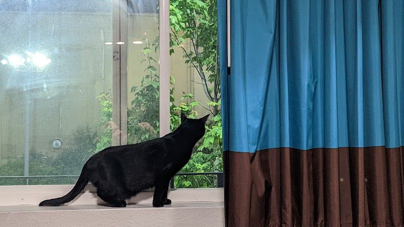 Photo of Vagabond Inn Executive Hayward