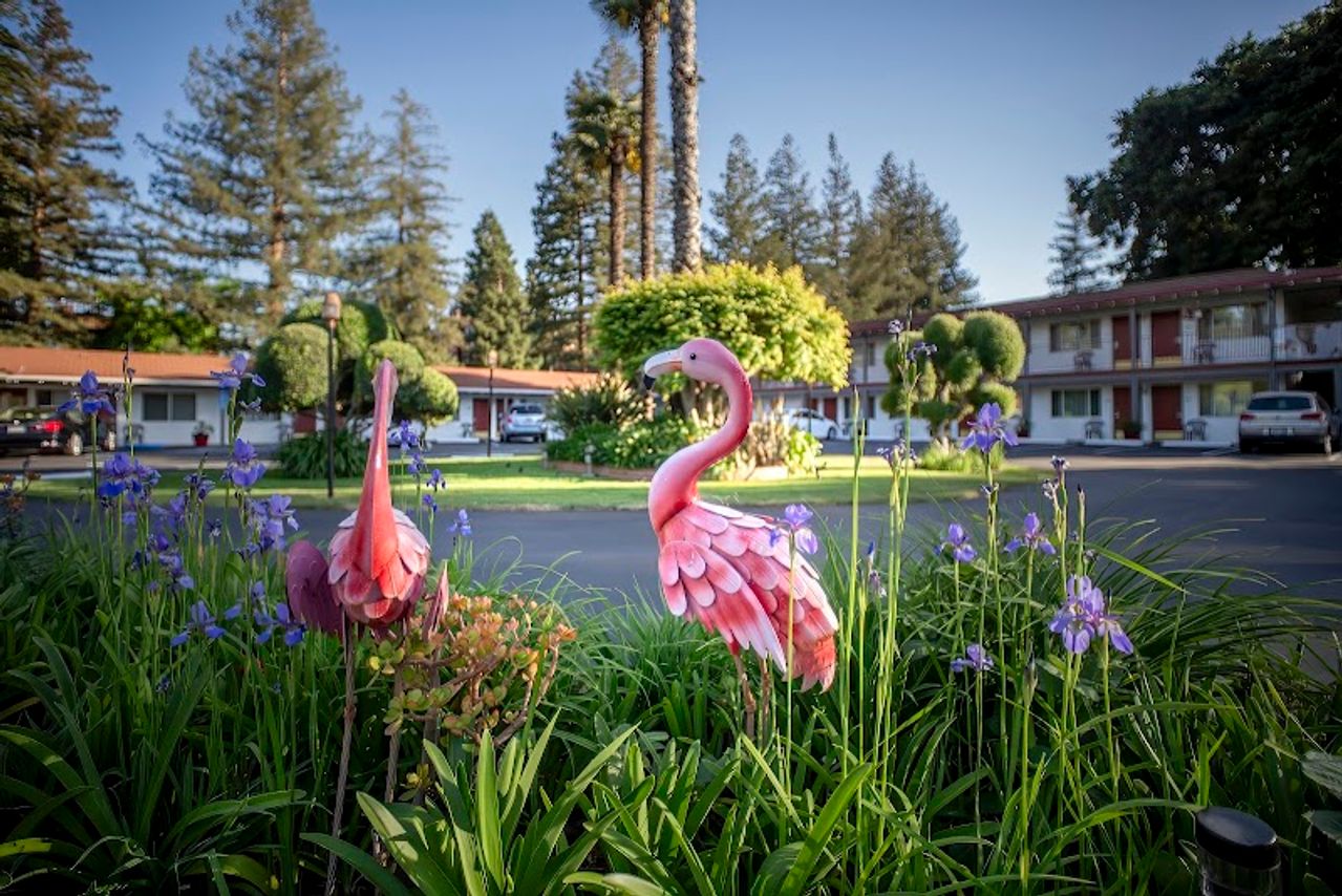 Photo of The Palo Alto Inn