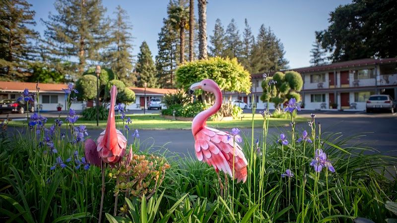 Photo of The Palo Alto Inn