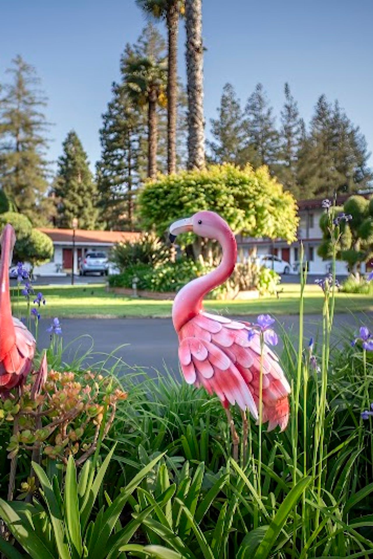 Photo of The Palo Alto Inn