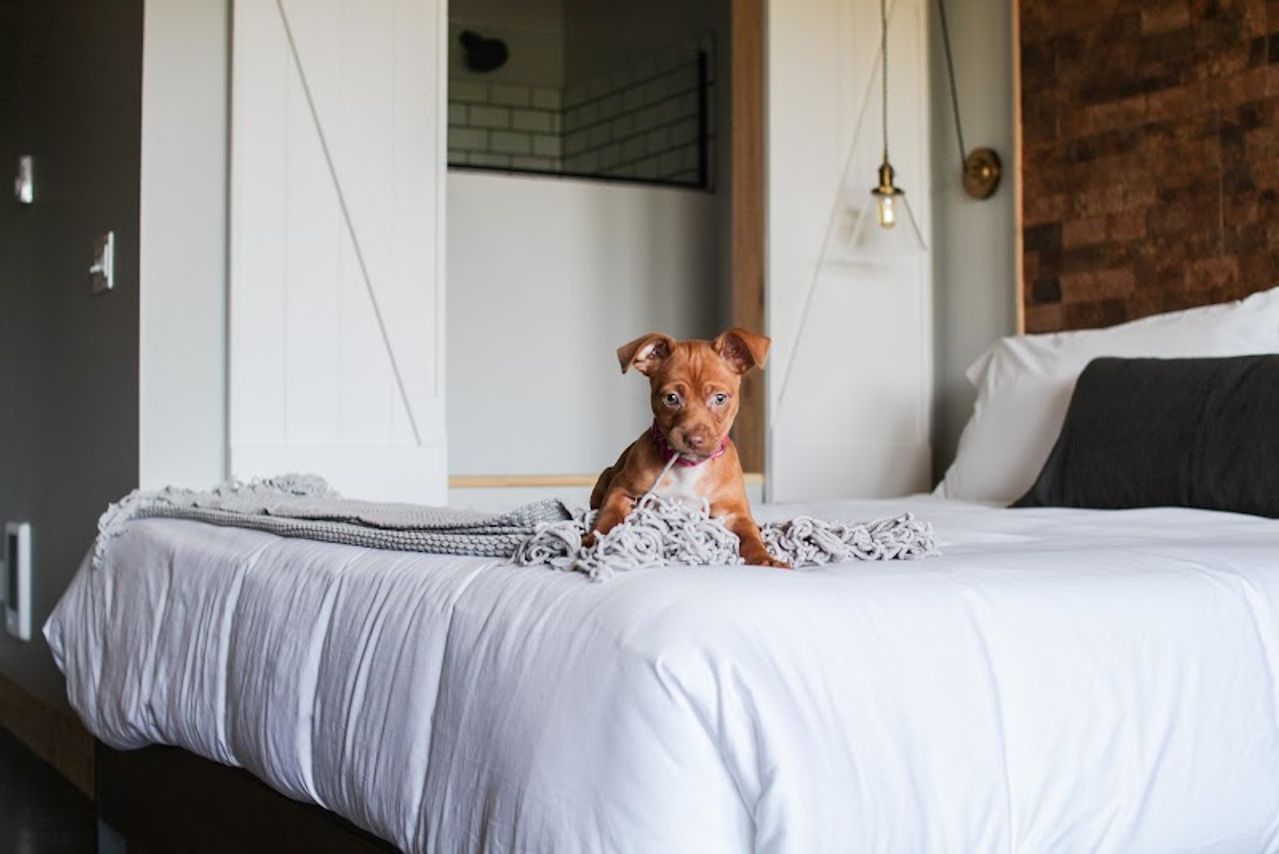 Photo of Inn At Discovery Coast