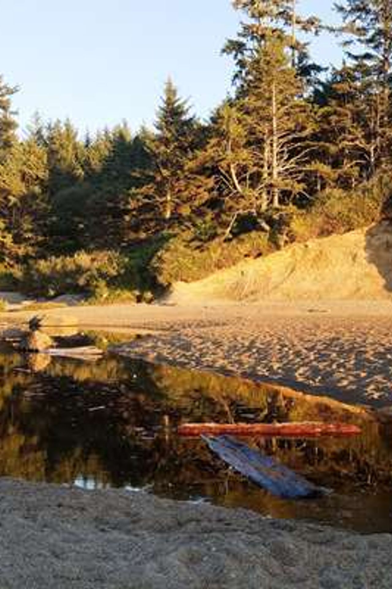 Photo of Clarion Inn Surfrider Resort
