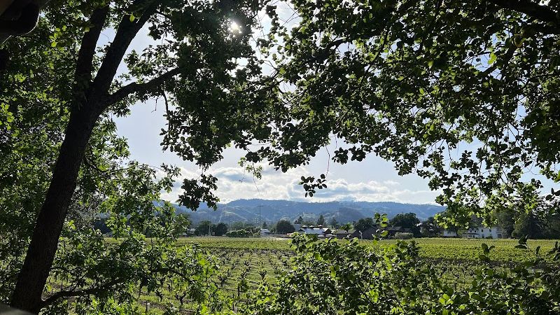 Photo of Vineyard Country Inn