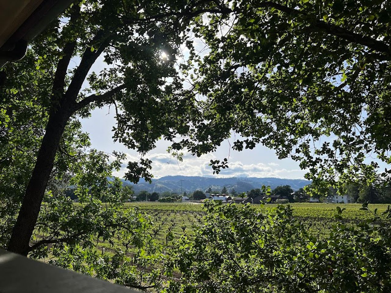 Photo of Vineyard Country Inn