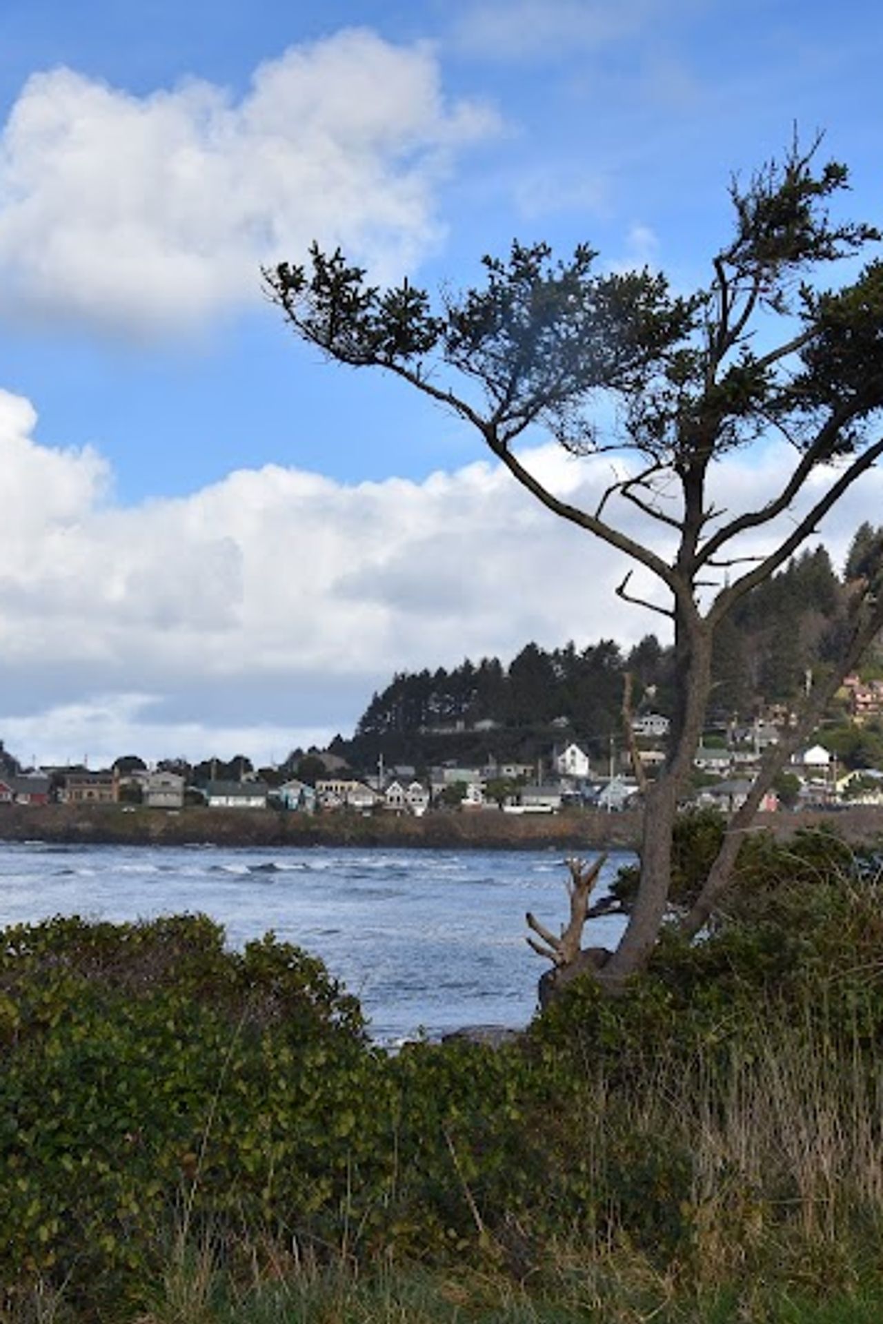 Photo of Dublin House - Yachats, Oregon Hwy 101
