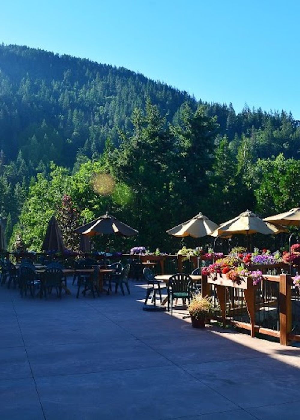 Callahan's Mountain Lodge