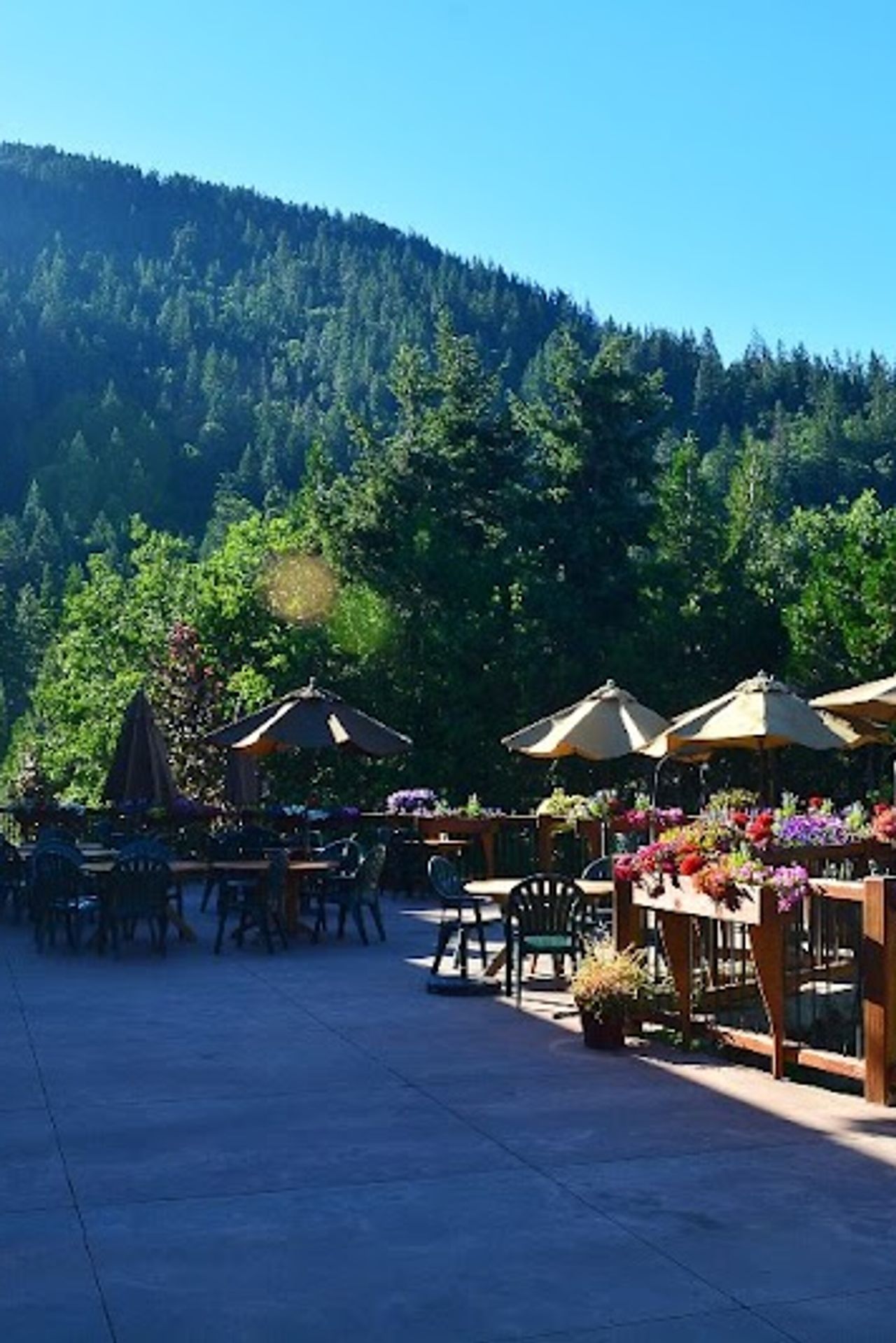 Photo of Callahan's Mountain Lodge