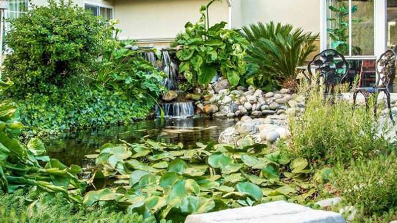 Photo of Comfort Inn Modesto