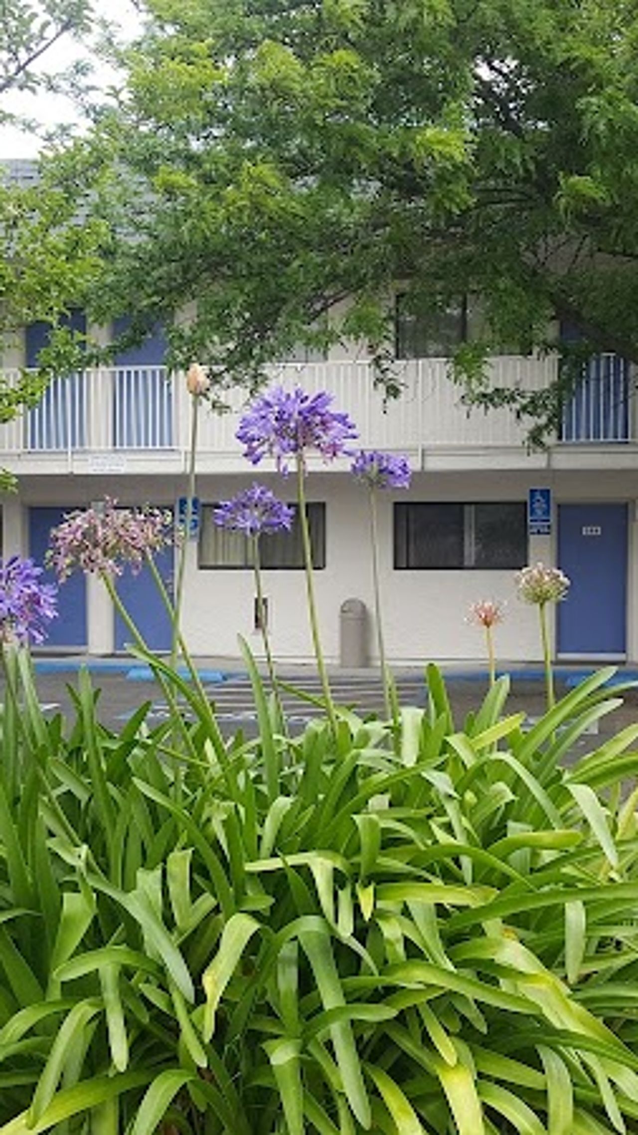 Photo of Hi - Wheel Flats, CA - Sacramento Area