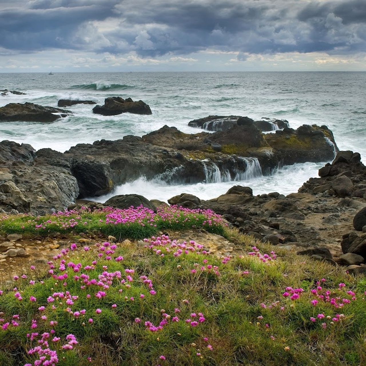 Photo of Overleaf Lodge