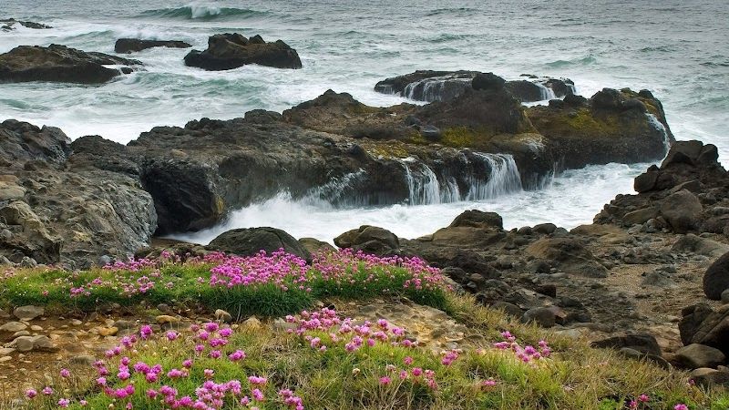 Photo of Overleaf Lodge