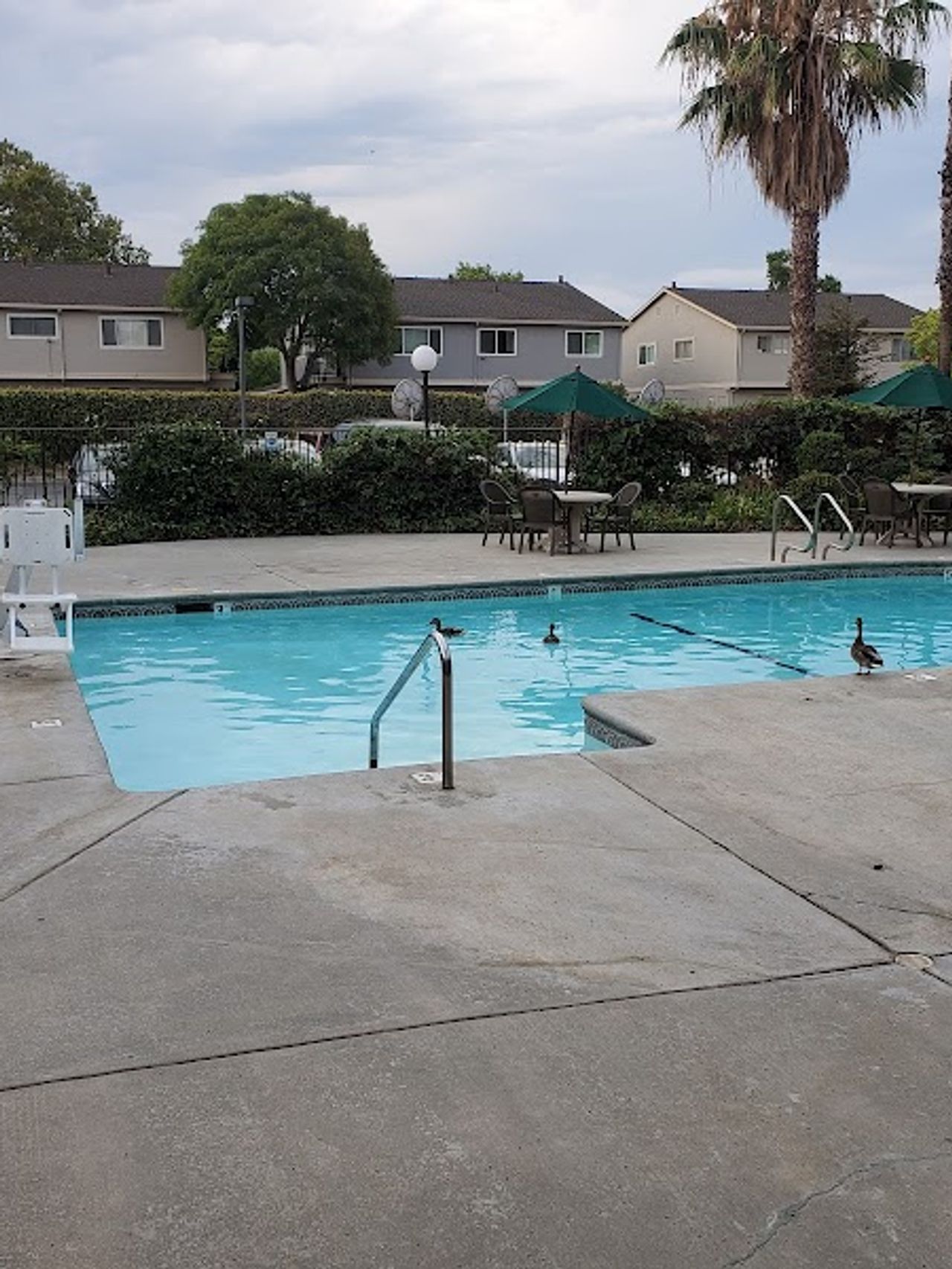 Photo of Days Inn by Wyndham San Jose Airport