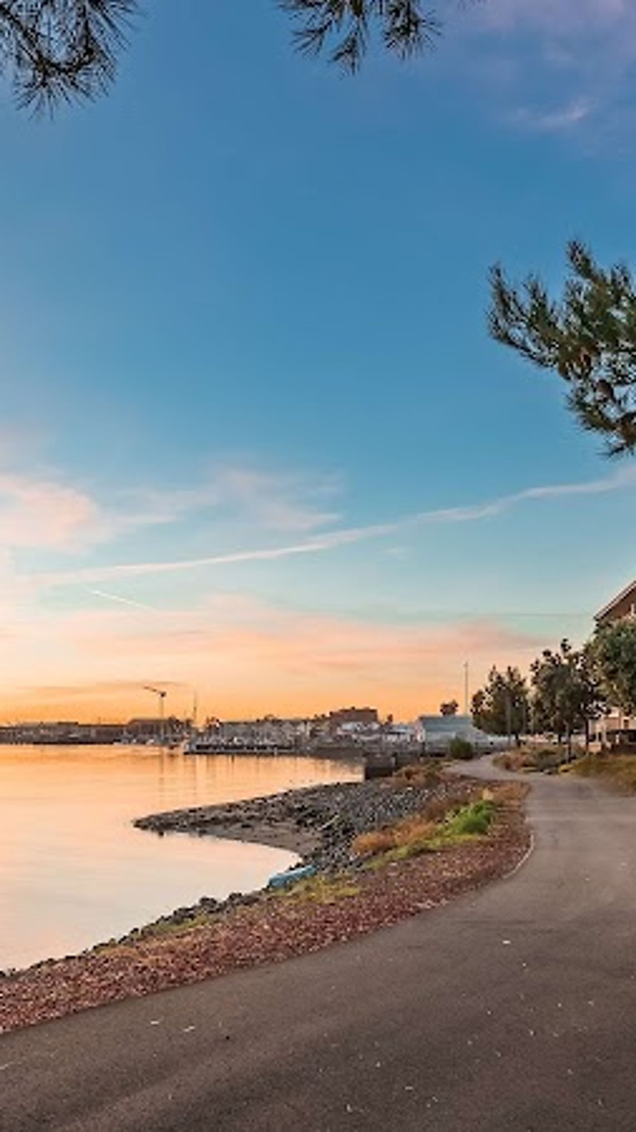 Photo of Best Western Plus Bayside Hotel
