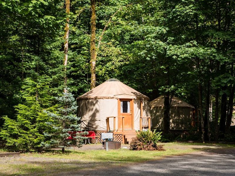 Photo of Mt Hood Village RV Resort - Yurt - 16' Premium (Sleeps 5/Pet Friendly)