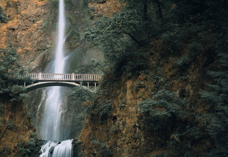 Best Value Mountain Getaways in Oregon with Pet-Friendly Policies