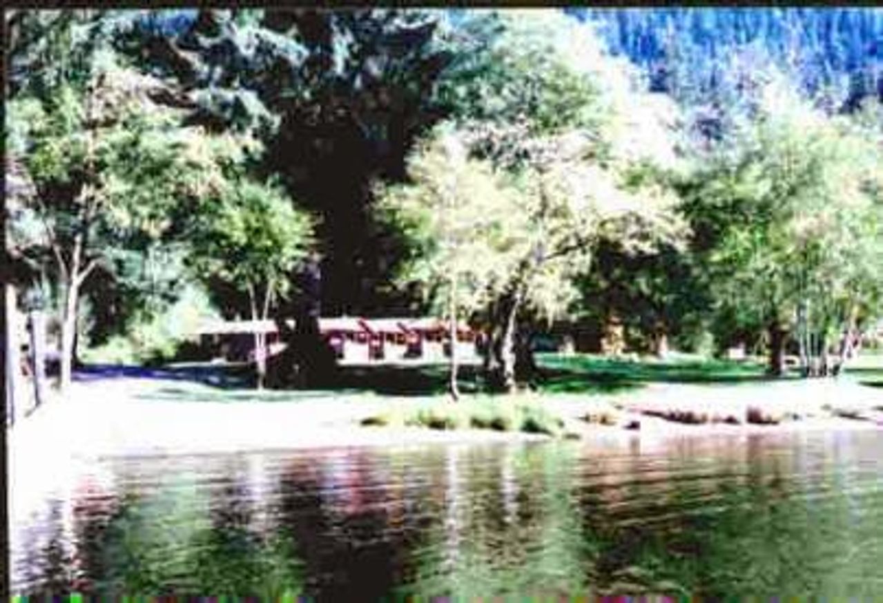 Photo of Rain Forest Resort Village