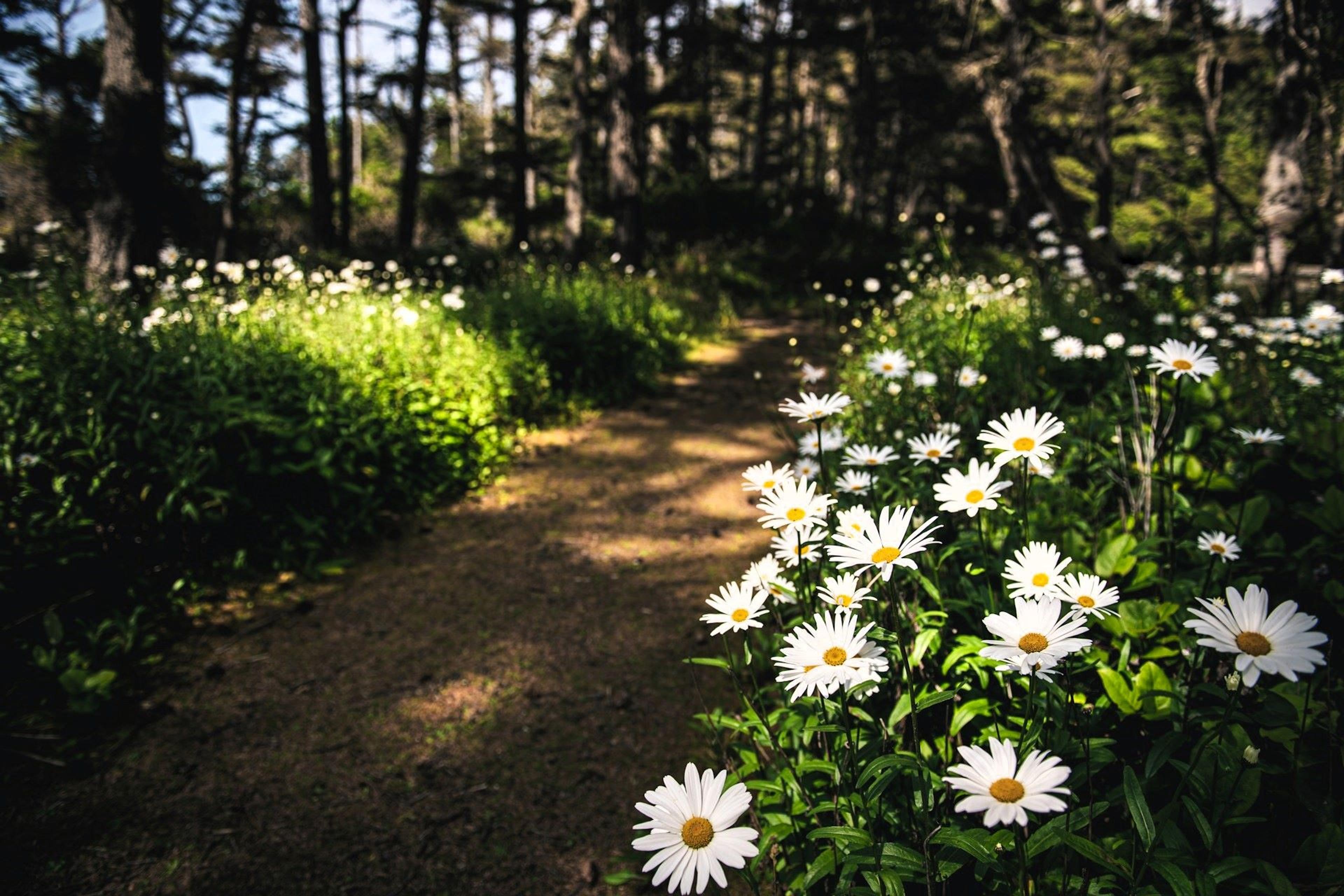 Nature's path - Coos Bay, OR, USA