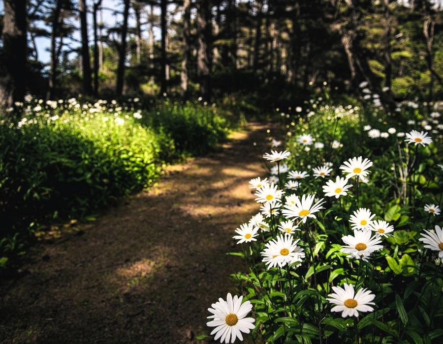 Nature's path - Coos Bay, OR, USA