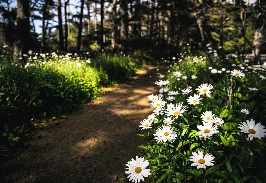Nature's path - Coos Bay, OR, USA