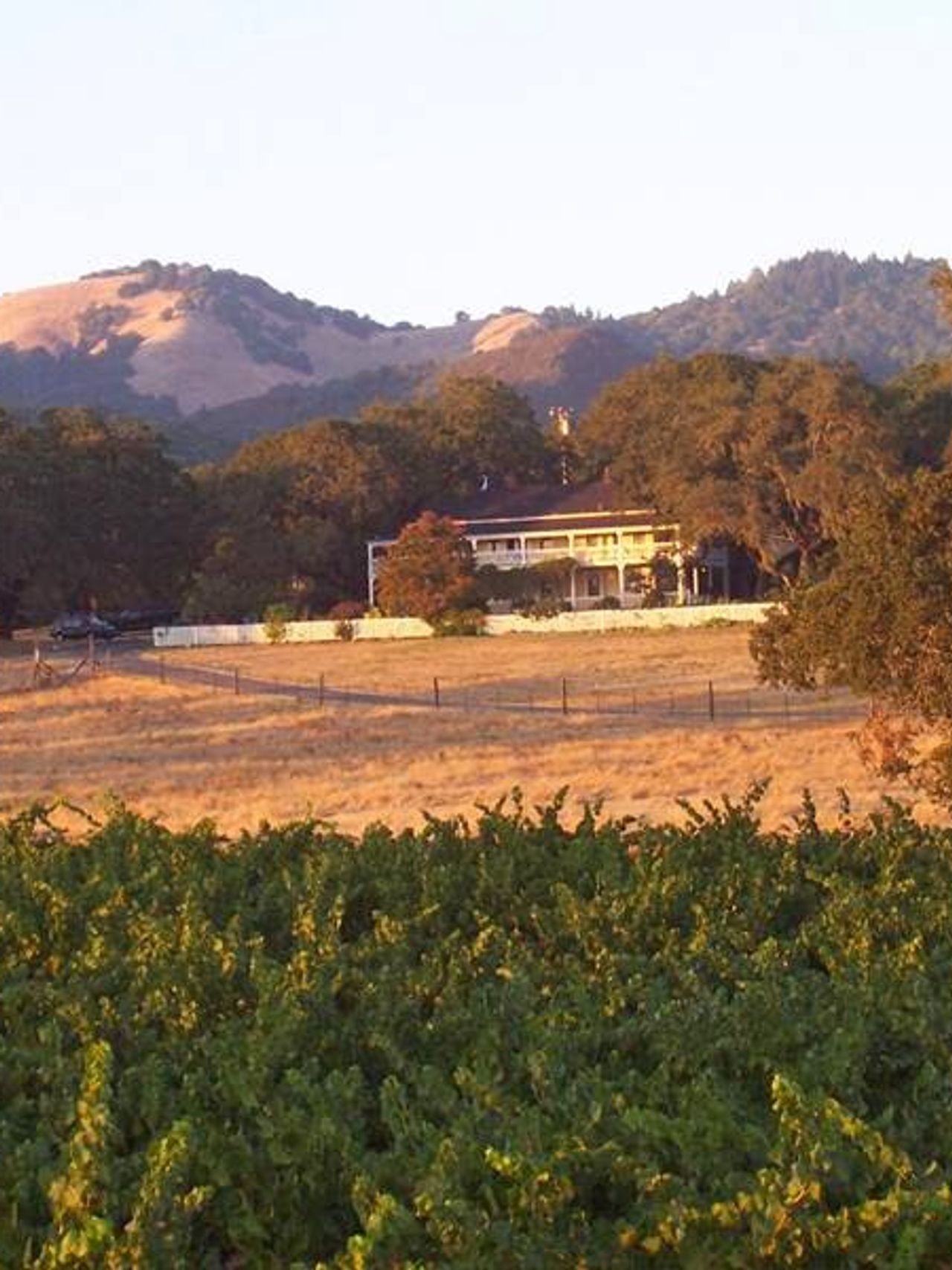 Photo of Beltane Ranch