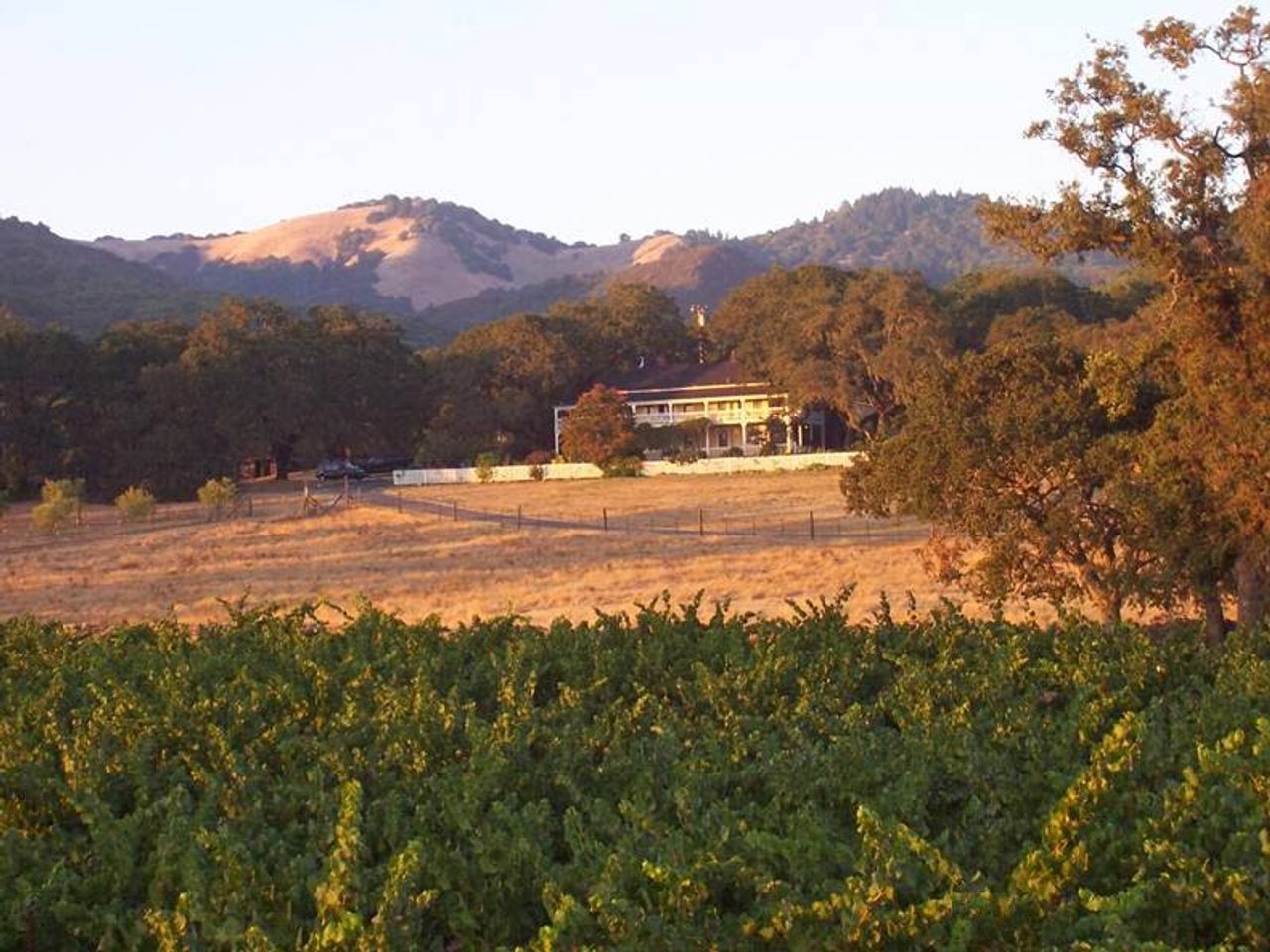 Photo of Beltane Ranch