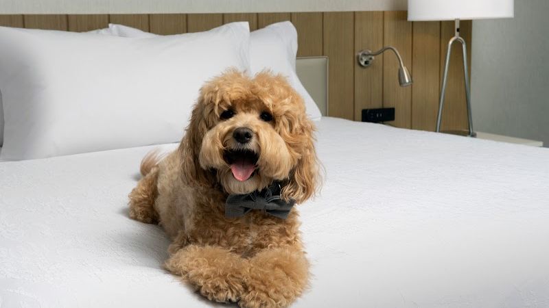 Photo of Hilton Garden Inn San Jose Airport