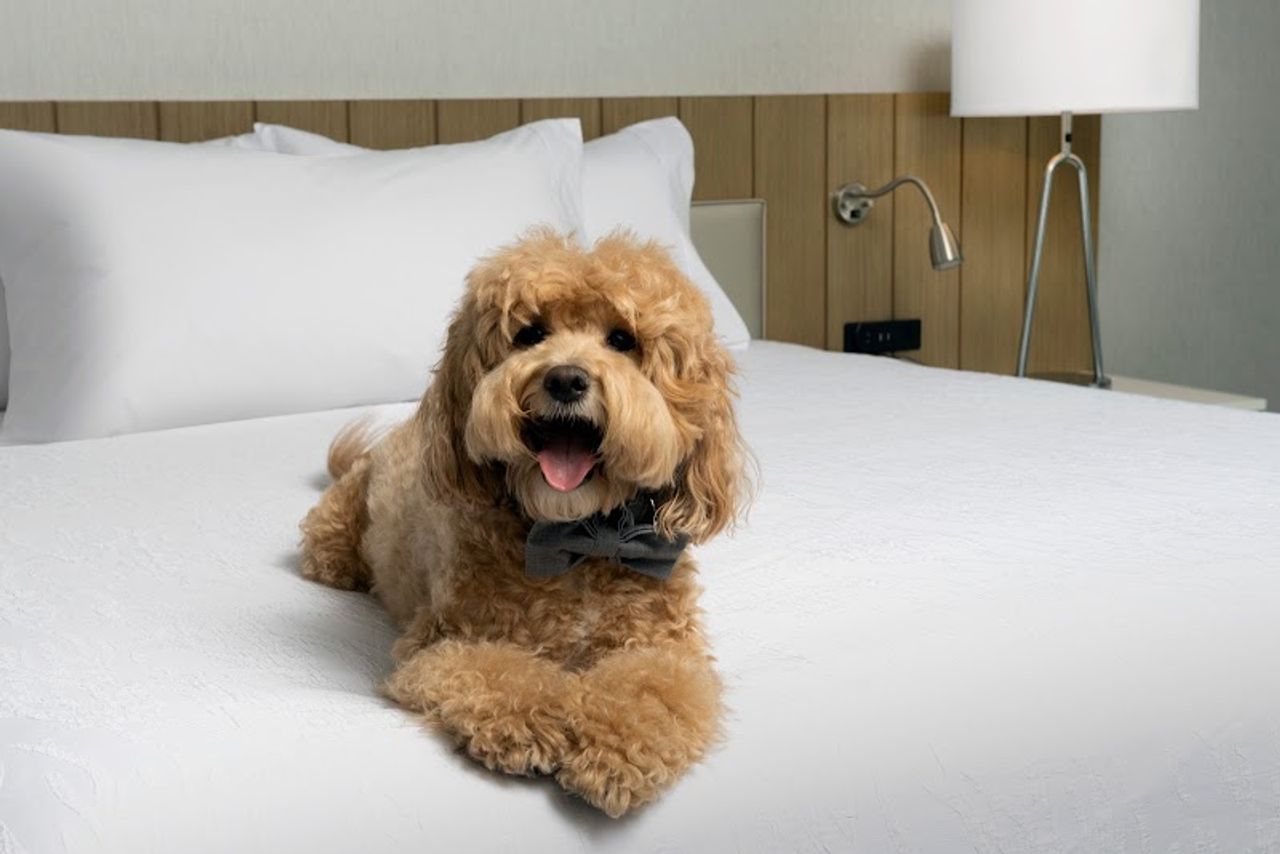 Photo of Hilton Garden Inn San Jose Airport