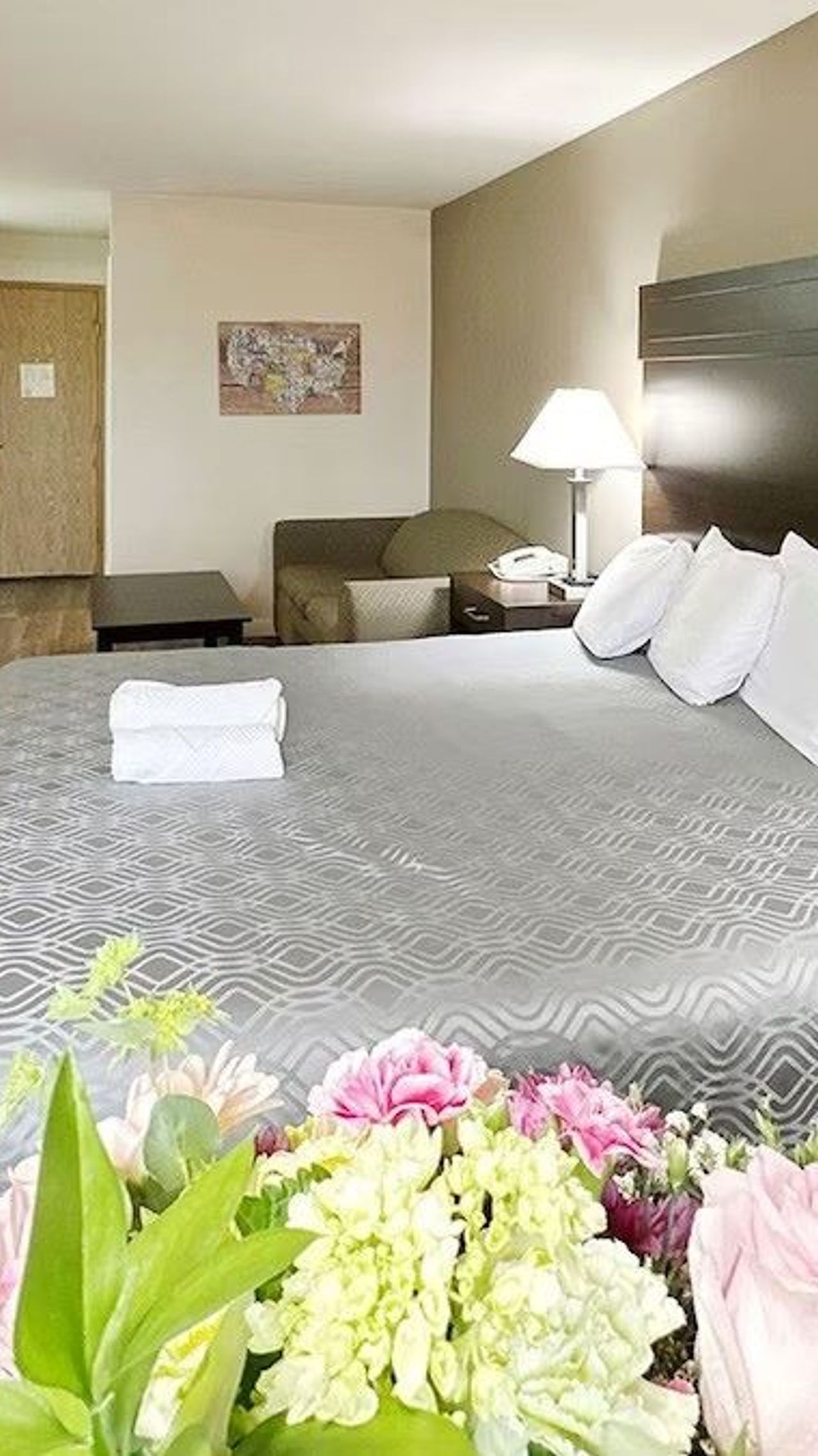 Ocean Star Inn - Comfort Single Room